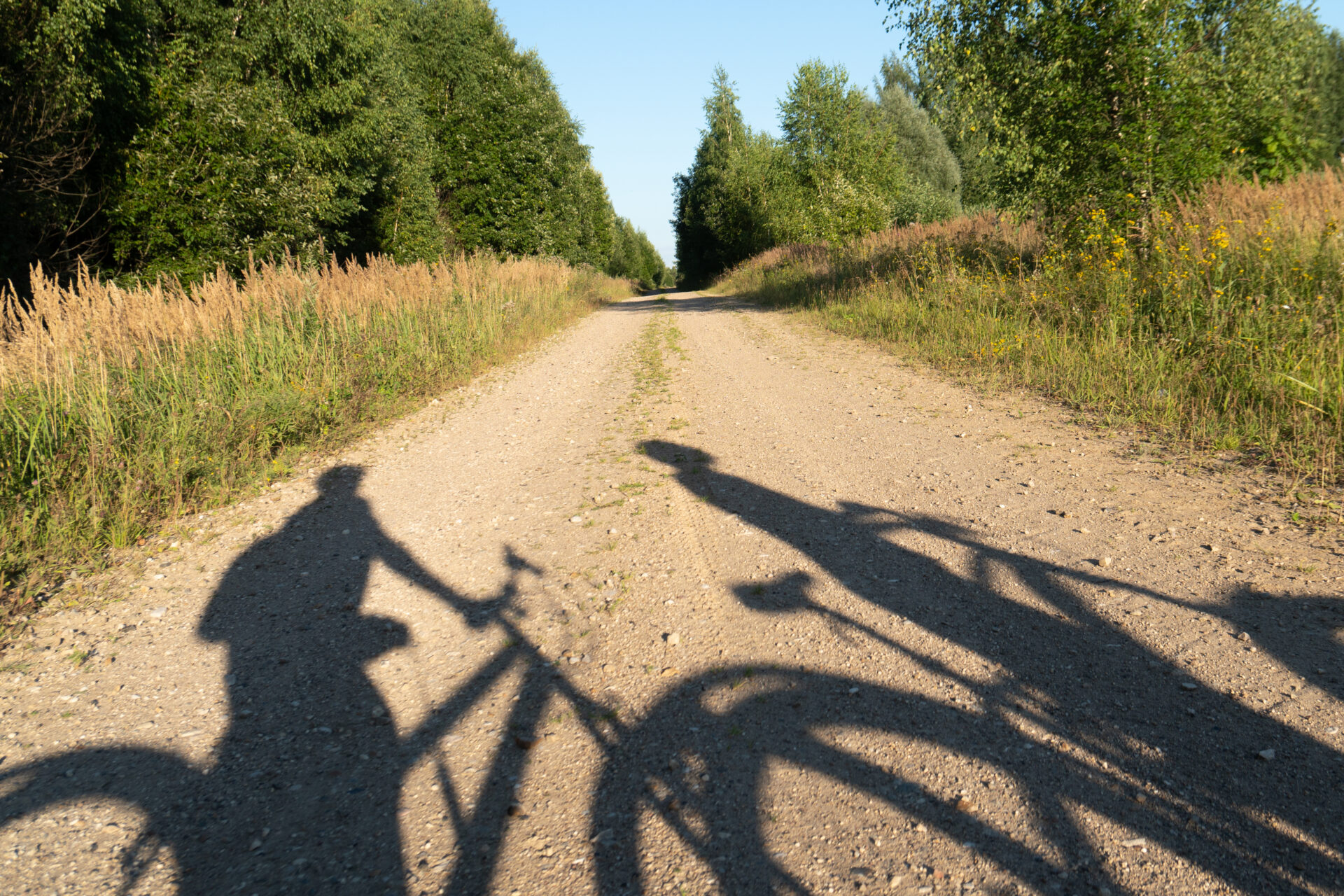 Shadows from hikers riding on the bicycles on the forest road in summer sunny evening. Concept of a summer bicycle journey